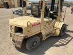 General Appearance with Paint