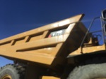 General Appearance with Paint