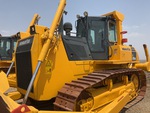 General Appearance with Paint
