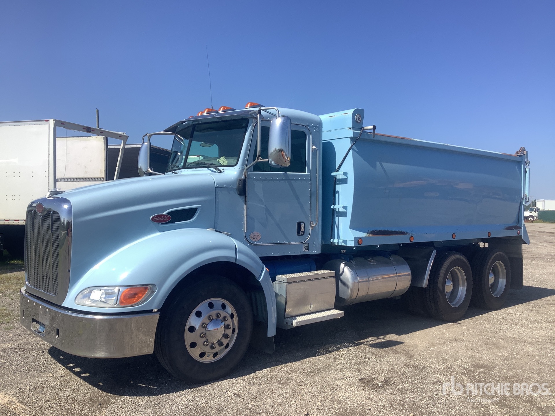 General Appearance with Glamour Shot