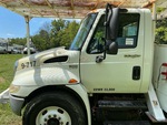 General Appearance with Paint