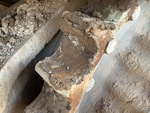 Undercarriage with Left Sprocket