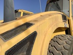 General Appearance with Paint