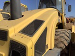 General Appearance with Paint