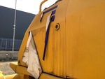 General Appearance with Paint