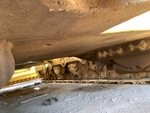 Chassis with Belly Pans