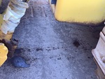Engine with Cooling System Leaks
