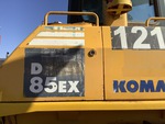 General Appearance with Paint