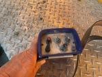 Control Station with Remote Control