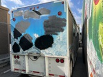 Picture, Right Rear Corner