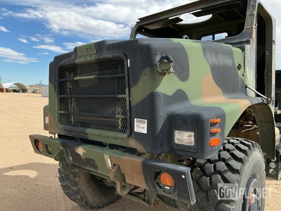 General Appearance with Paint