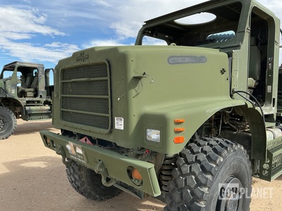 General Appearance with Paint