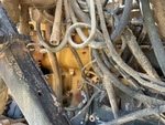 Engine with Fuel System