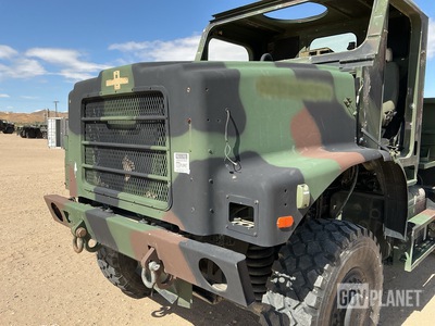 General Appearance with Paint