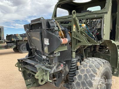General Appearance with Paint
