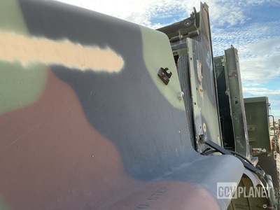 General Appearance with Paint