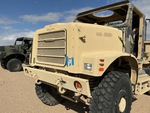 General Appearance with Paint