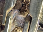Undercarriage with Left Track Bushings