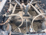 4 Underbody - Truck with 