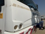 General Appearance with Paint