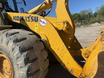 General Appearance with Paint