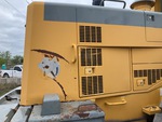 General Appearance with Paint