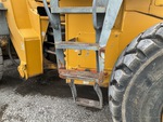 General Appearance with Steps/Ladders