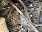 Motor with