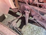 4 Underbody - Truck with 