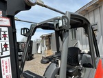 General Appearance with Exterior Lights