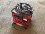 Electric System with Battery Charger