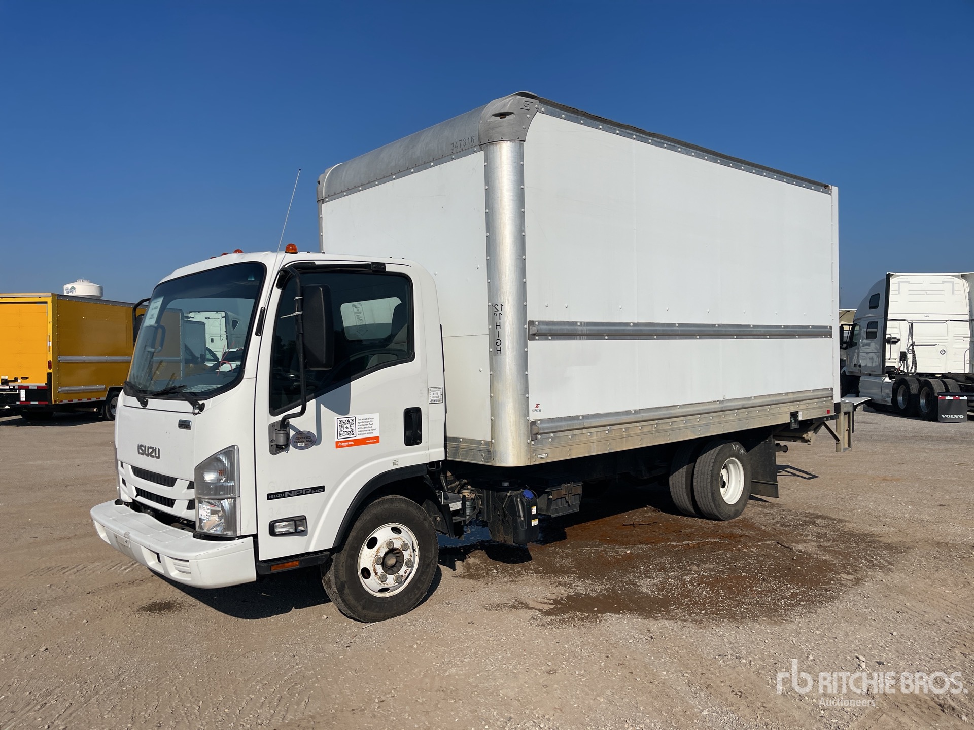 General Appearance with Spin