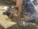 Underbody with 