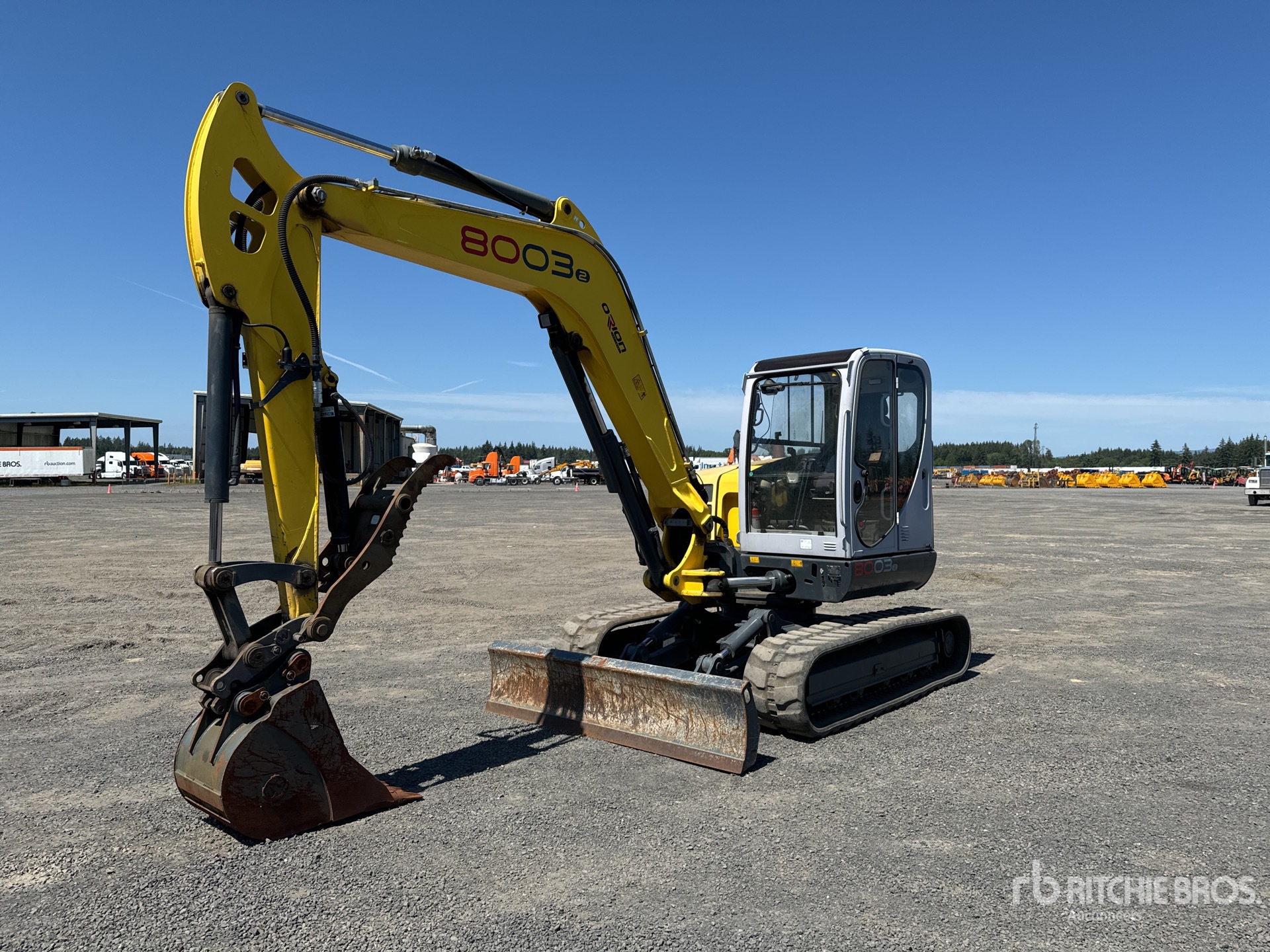 General Appearance with Spin