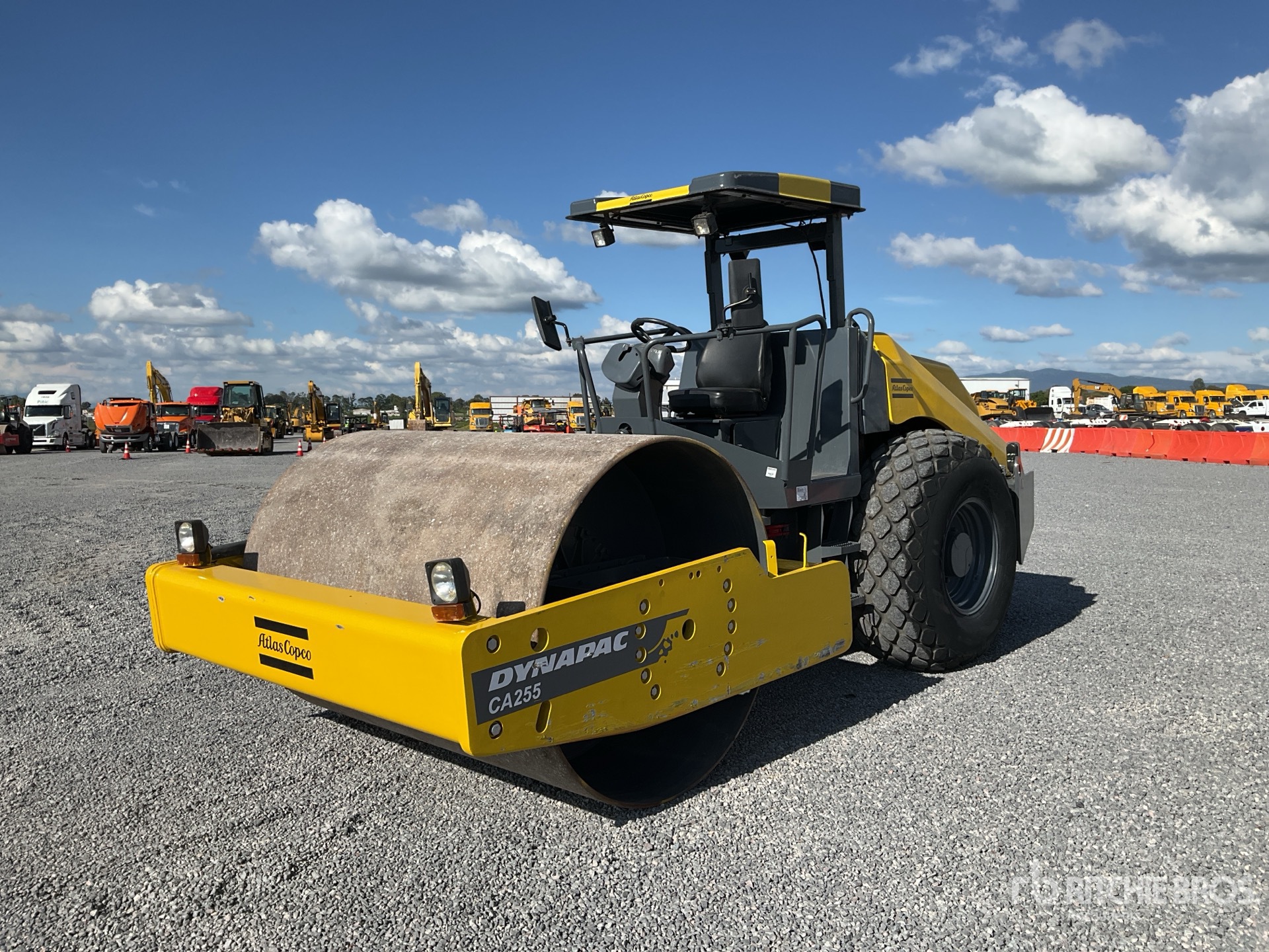 General Appearance with Spin