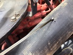 Motor with