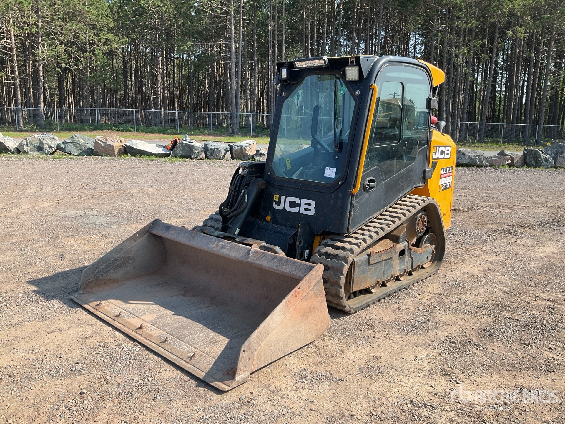 General Appearance with Spin