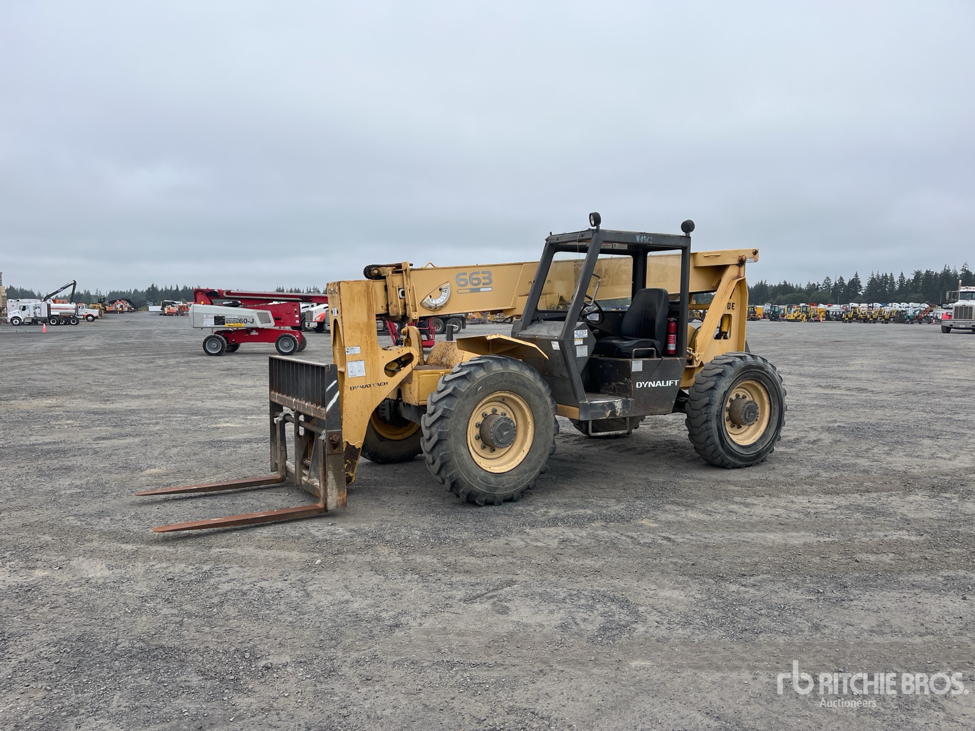 General Appearance with Spin