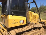 General Appearance with Paint