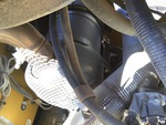 Engine with Exhaust System