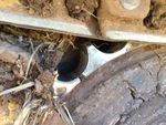 Undercarriage with Left Sprocket