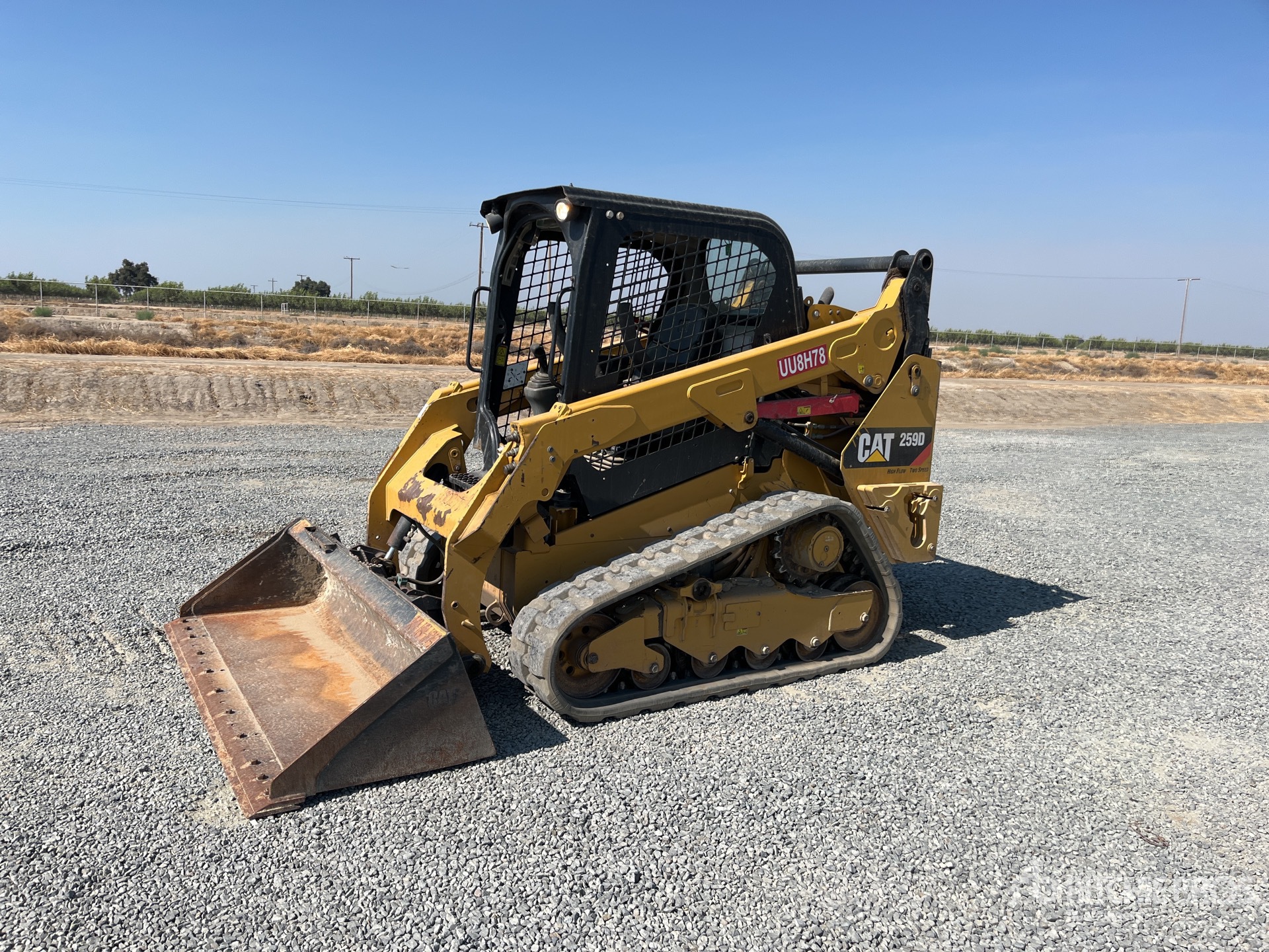 General Appearance with Spin