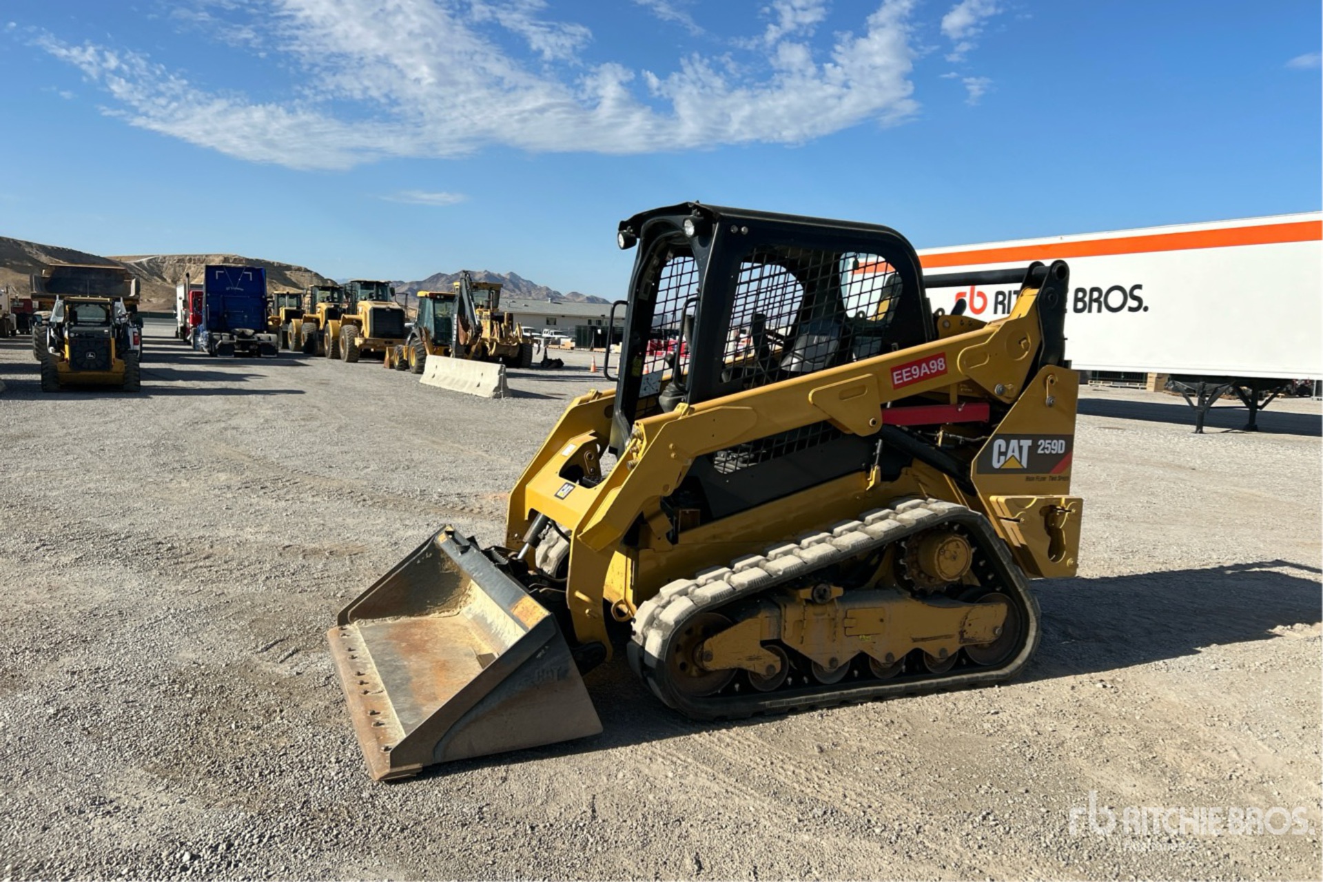 General Appearance with Spin