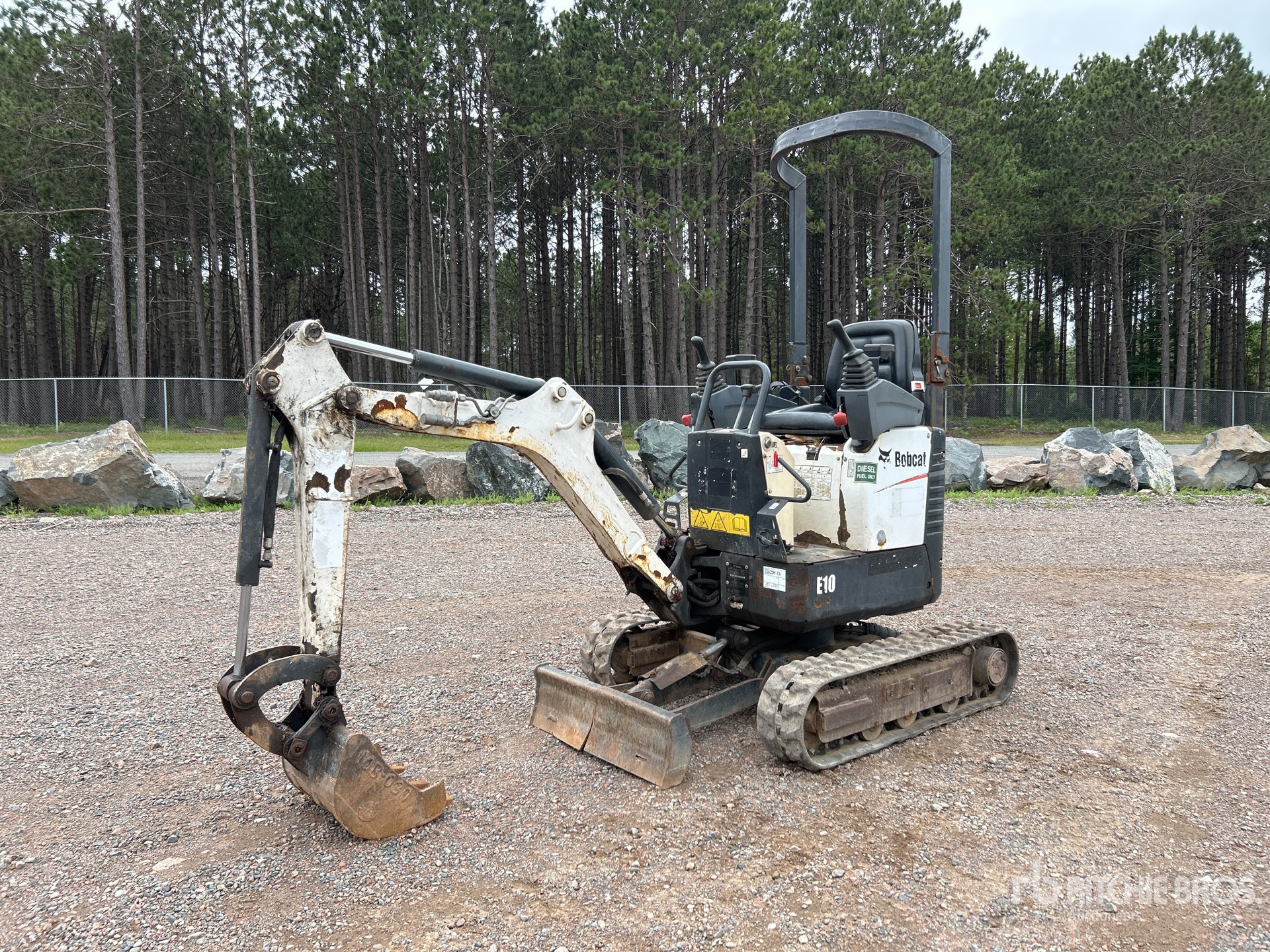 General Appearance with Spin