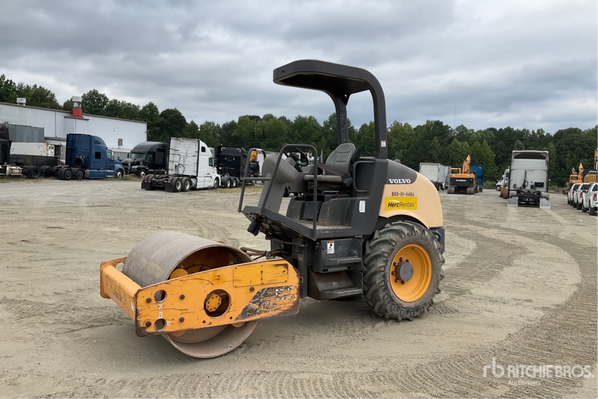 General Appearance with Spin