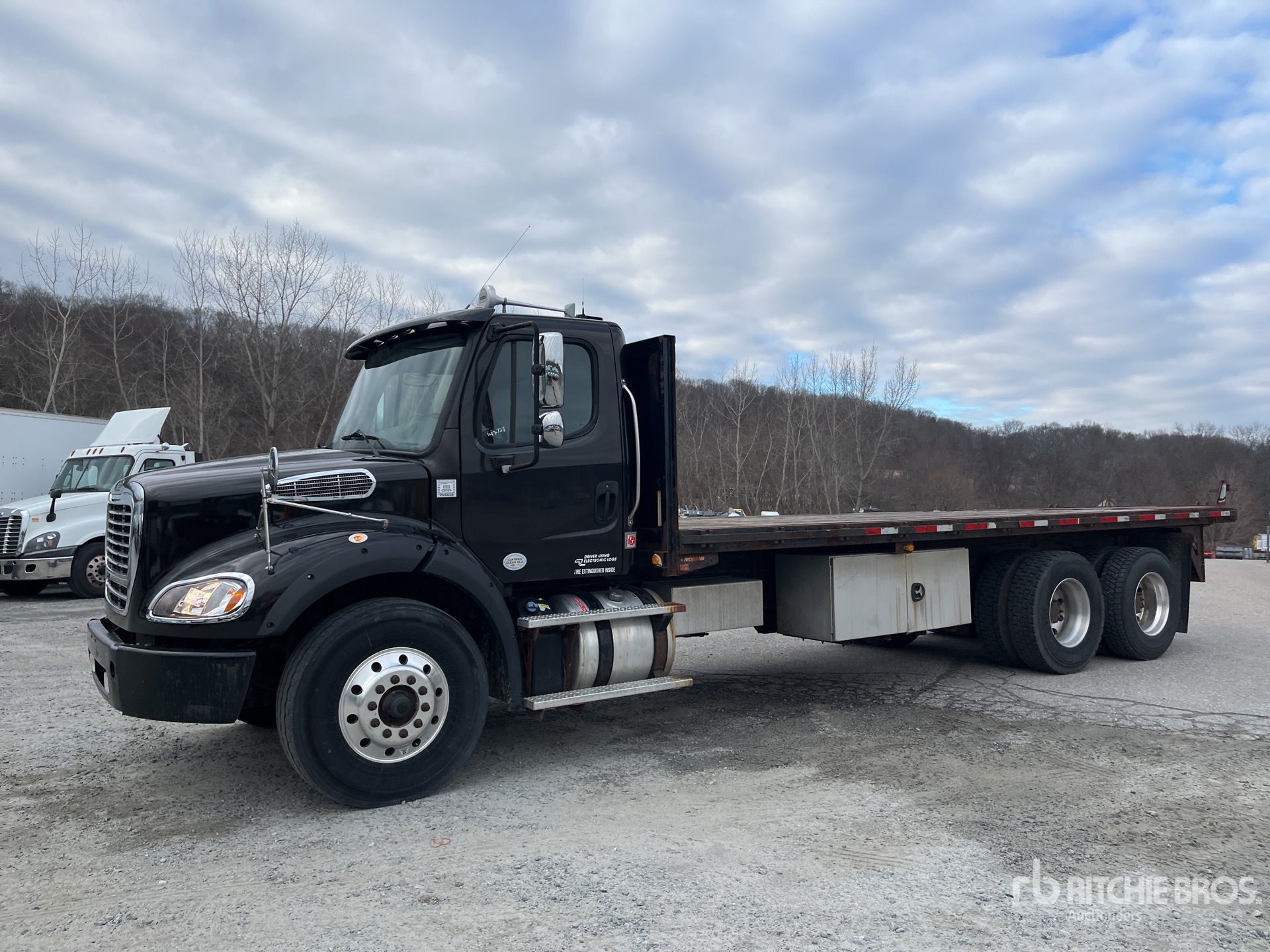 General Appearance with Spin