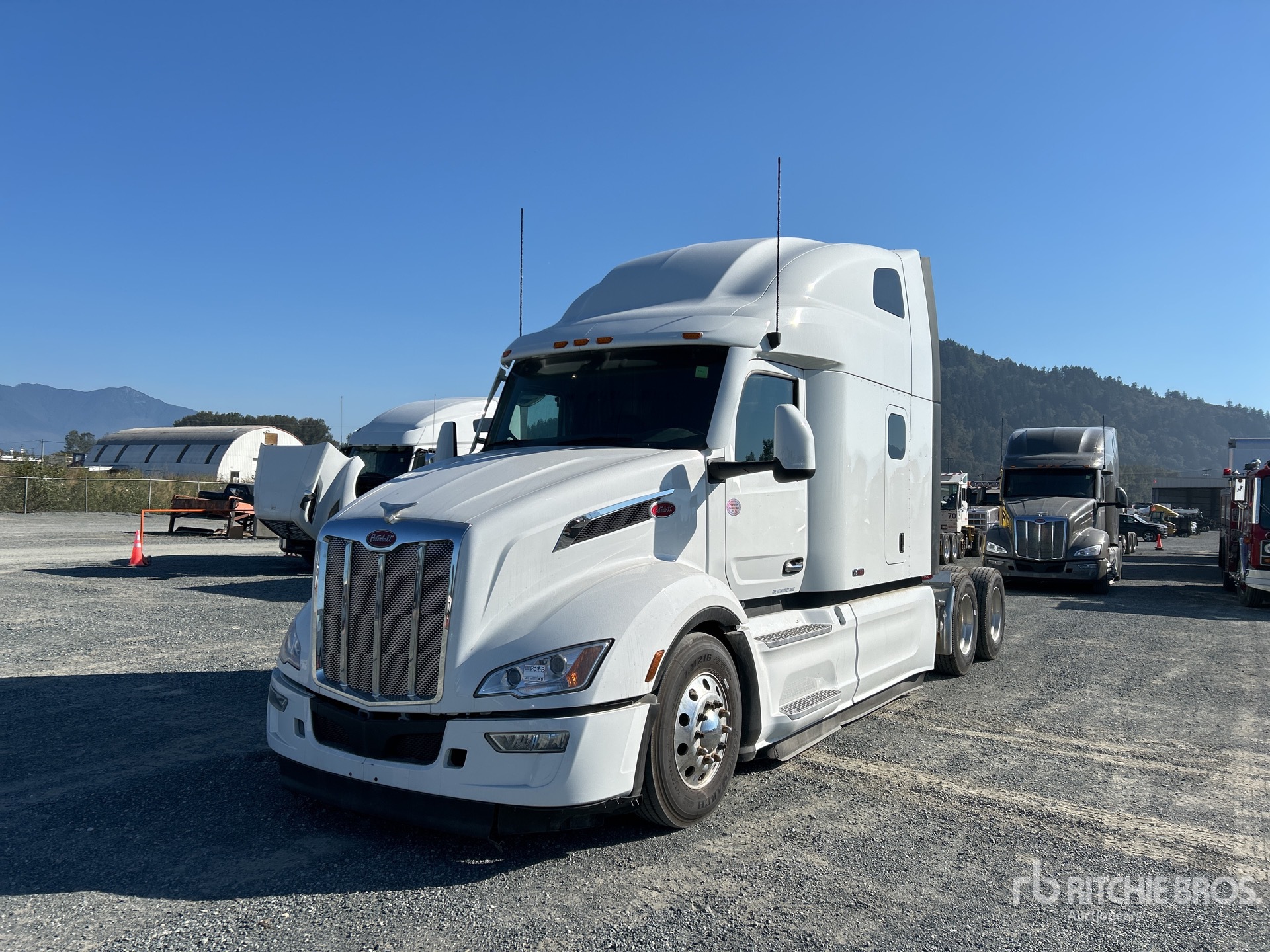 General Appearance with Spin