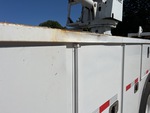 General Appearance with Pintura
