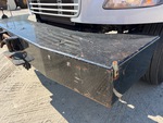 General Appearance with Pintura