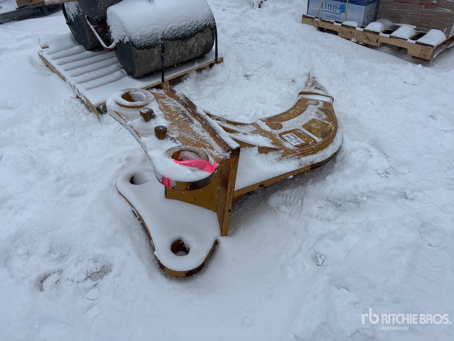 General Appearance with Zdjęcie, prawy dolny róg